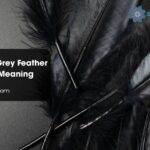 Black and Grey Feather Symbolism Meaning