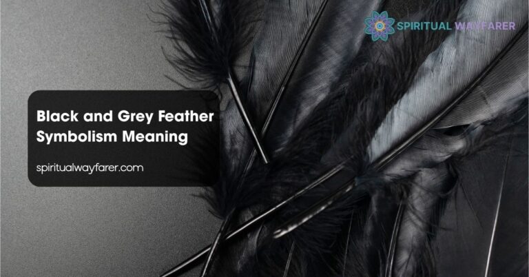 Black and Grey Feather Symbolism Meaning: Secrets of Transformation and ...