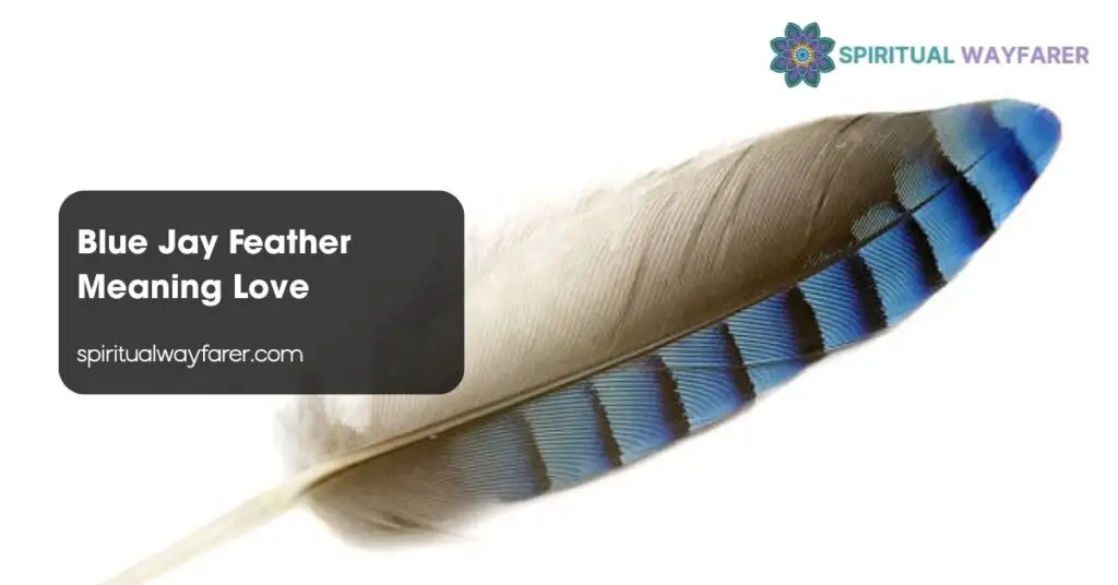 Blue Jay Feather Meaning Love