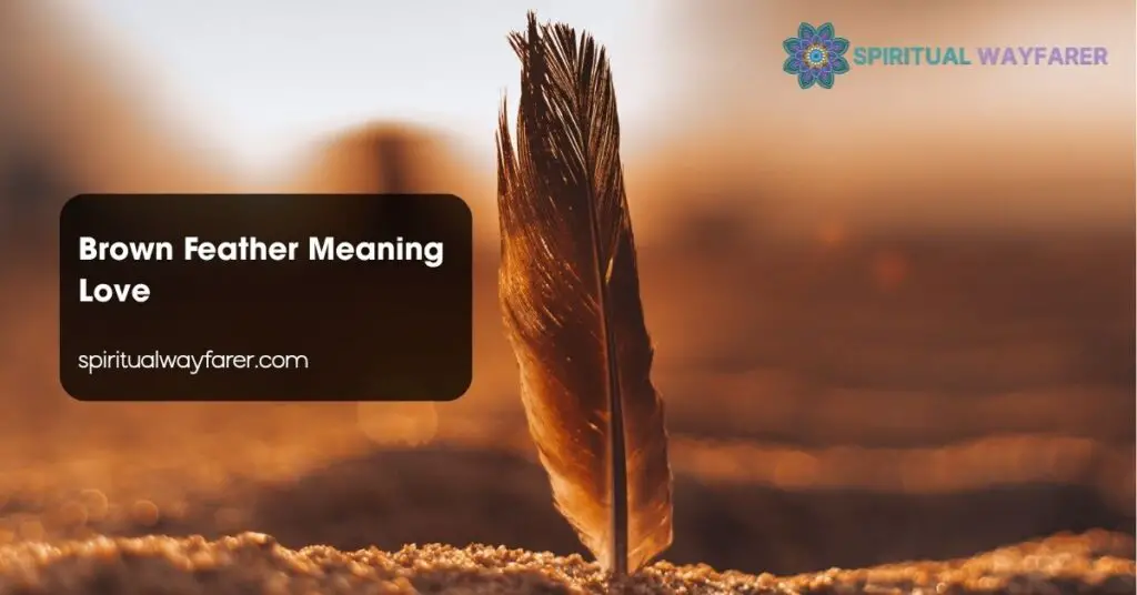 Brown Feather Meaning Love