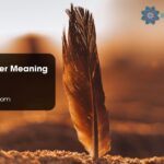 Brown Feather Meaning Love