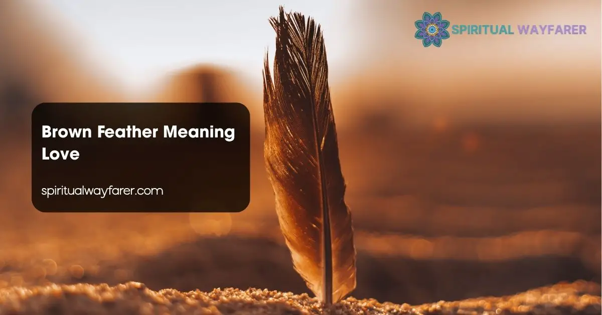 Brown Feather Meaning Love