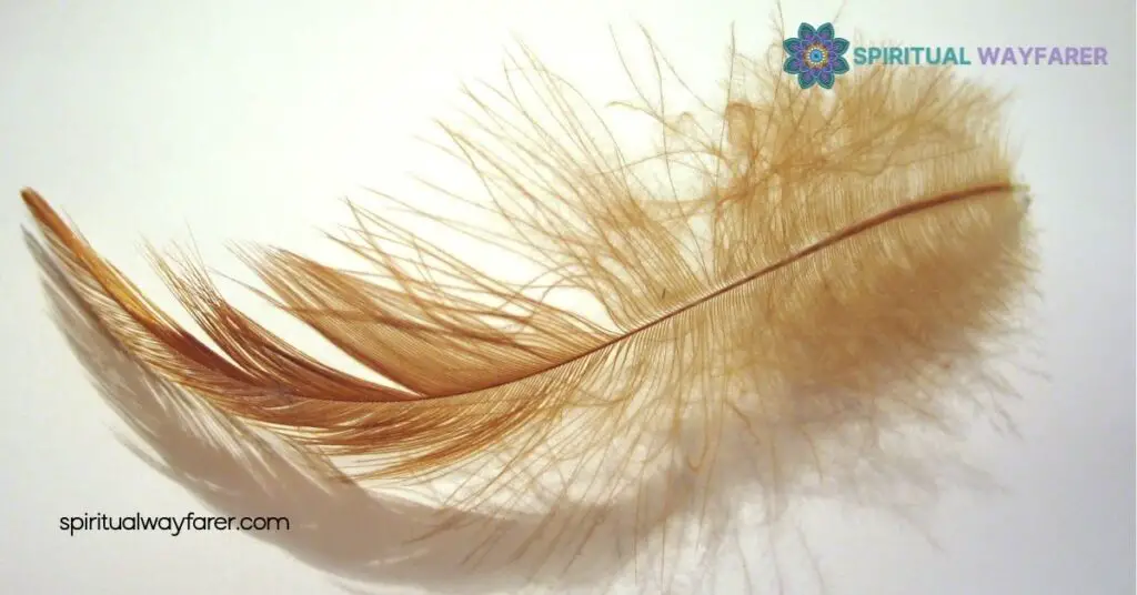 Brown Feather Meaning Love: Discover the Secret to Lasting Relationships 4 Brown Feathers in Literature and Media