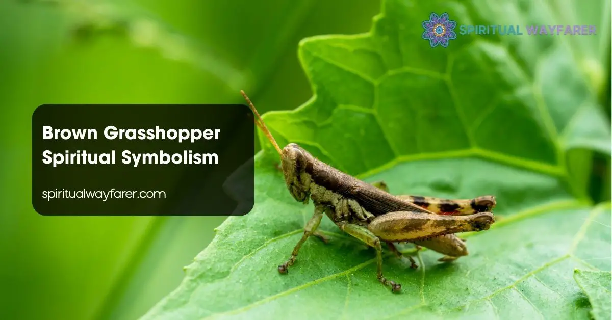 Brown Grasshopper Spiritual Symbolism