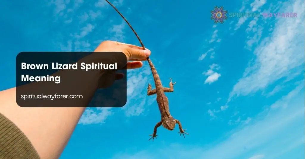 Brown Lizard Spiritual Meaning