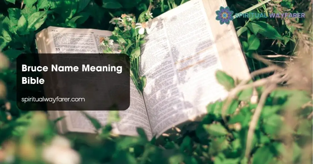 Bruce Name Meaning Bible