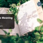 Bruce Name Meaning Bible
