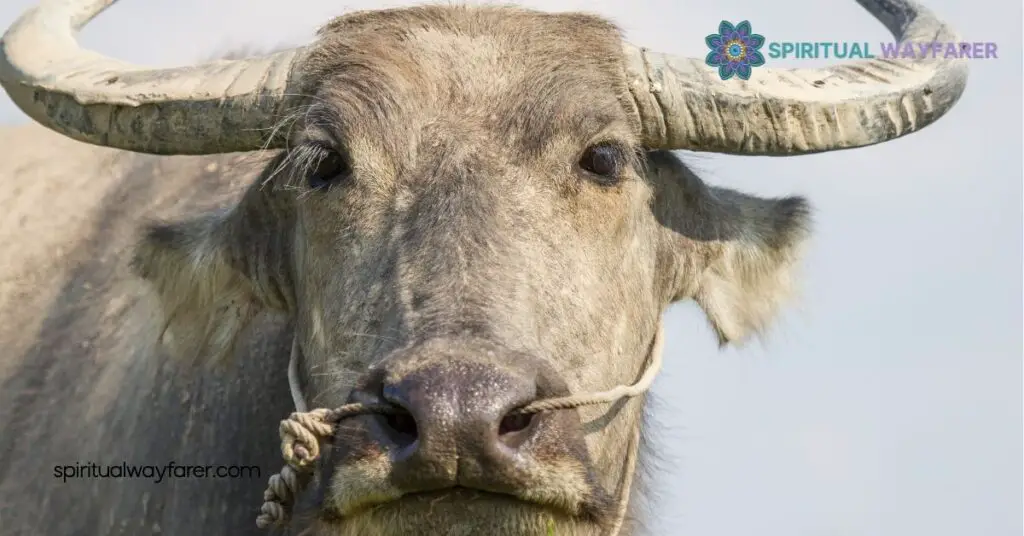 Unlock the Secrets of Buffalo Symbolism: Strength, Wisdom, & Cultural Significance 3 Buffalo Symbolism In Modern Culture