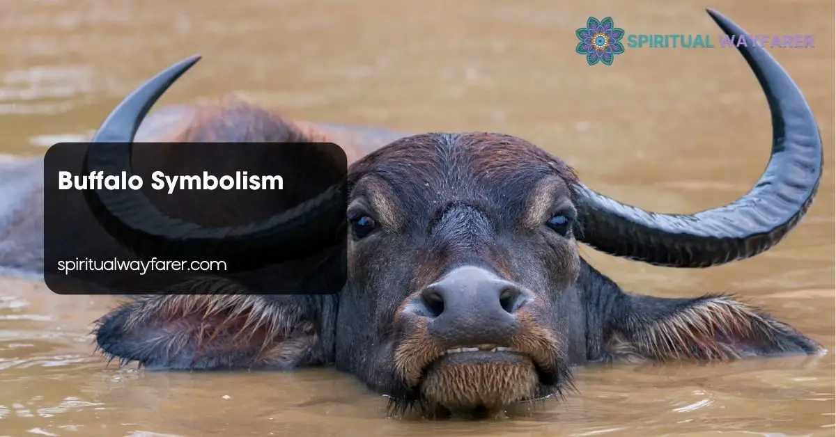 Buffalo Symbolism