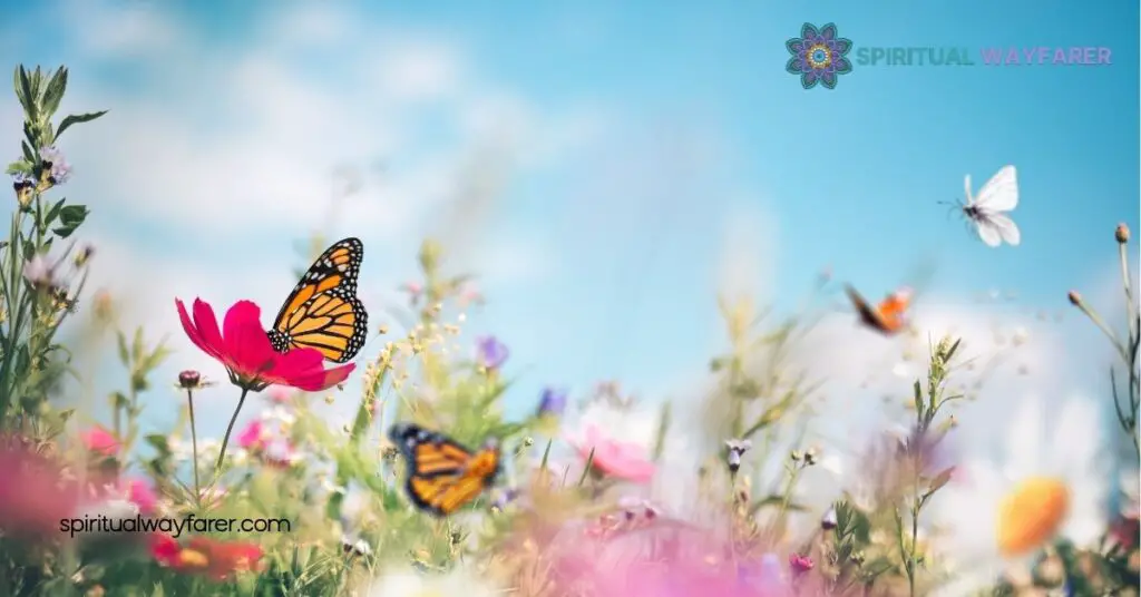 Animals That Symbolize Hope: 6 Inspiring Creatures to Uplift Your Spirit 2 Butterflies Transformation And Renewal