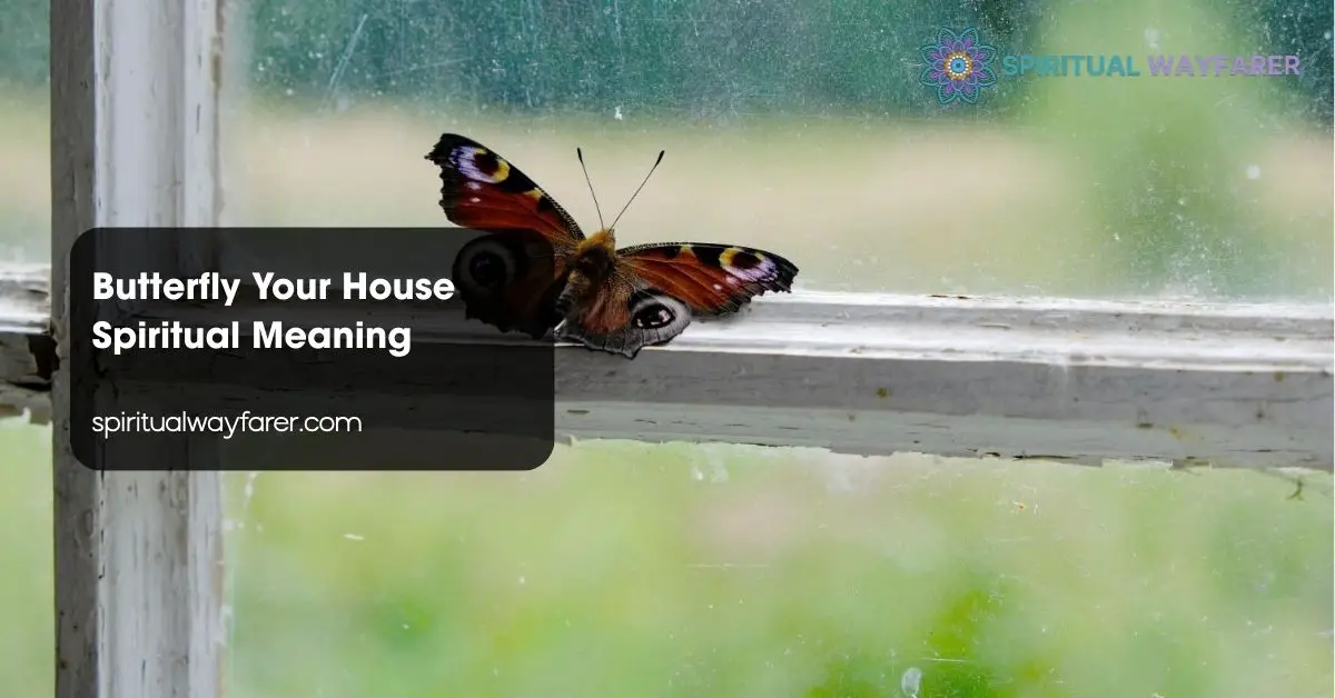 Butterfly Your House Spiritual Meaning
