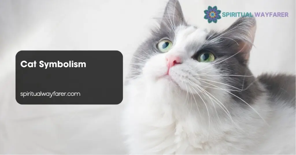 Cat Symbolism