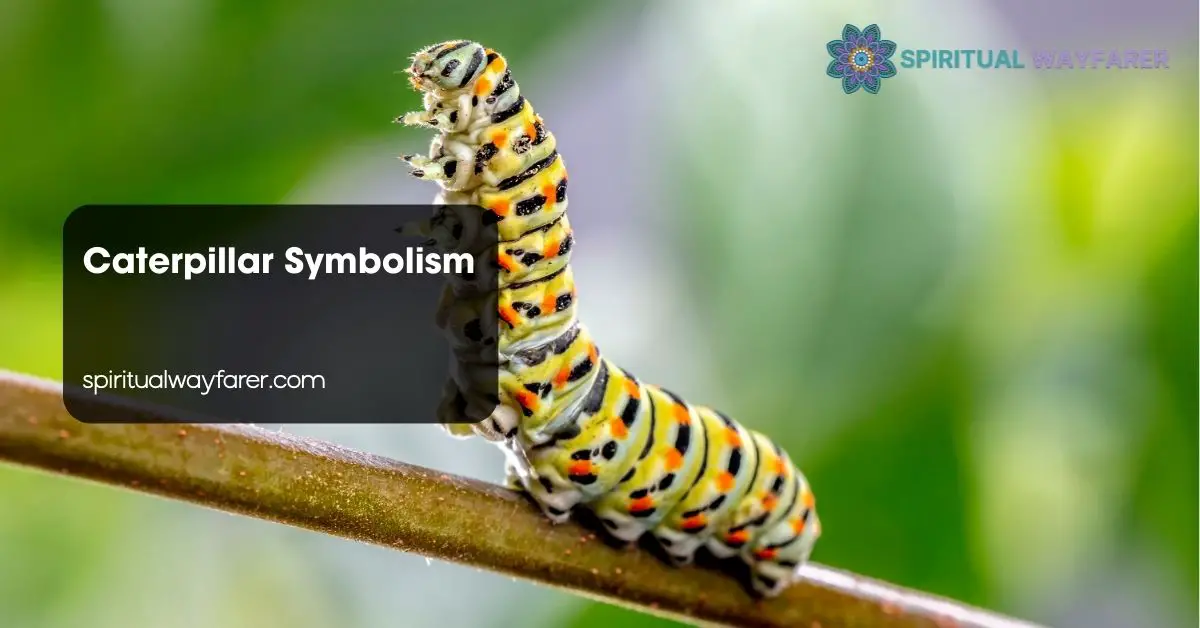 Caterpillar Symbolism