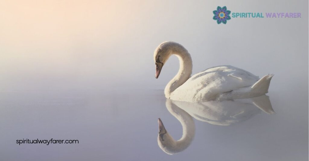 Discover the Swan Spirit Animal Meaning: Embrace Beauty and Transformation 3 Characteristics Of Those With Swan Spirit Animal