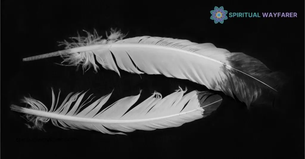 Black White Feather Symbolism Meanings: What They Really Represent 3 Combined Meanings of Black and White Feathers