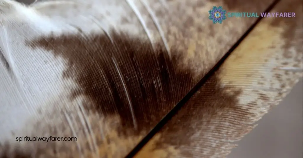Biblical Meaning Brown White Feathers: Uncover Their Spiritual Significance 4 Combined Meanings of Brown and White Feathers