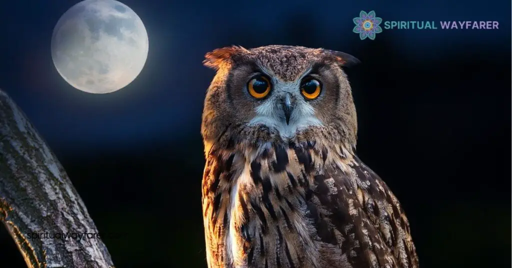 The Spiritual Meaning of Owl Hooting at Night: Unlock Hidden Messages 3 Common Beliefs and Legends