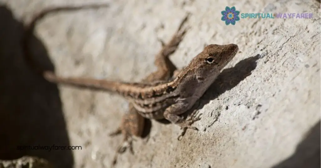 Brown Lizard Spiritual Meaning: Unlock Grounding, Resilience & Transformation 3 Common Beliefs and Legends