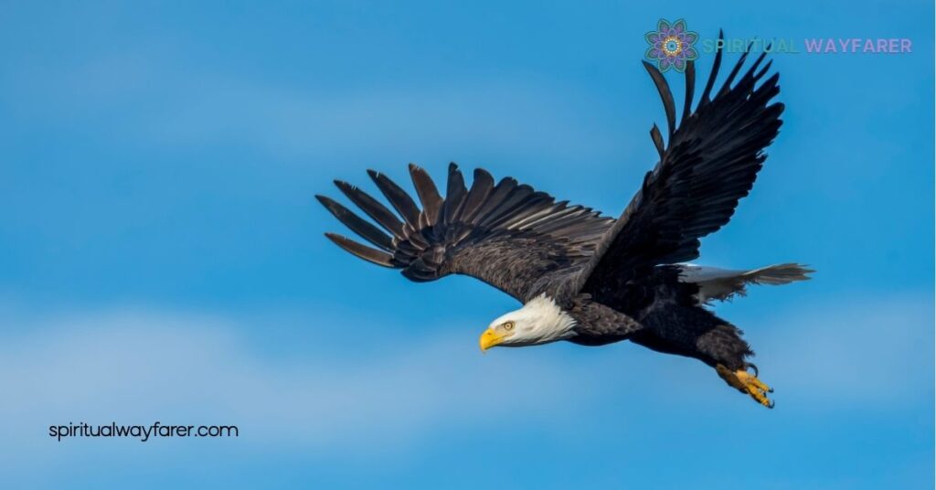 Unlock the Spiritual Meaning of Birds Flying: Insights for Your Journey 2 Common Birds And Their Meanings