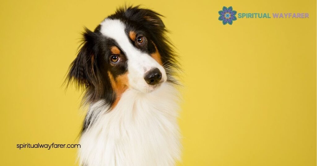 Unlocking Dog Symbolism: What Your Furry Friend Truly Represents 3 Common Meanings Associated With Dogs