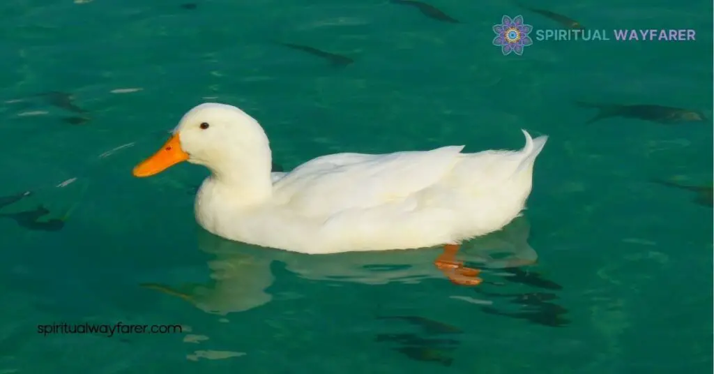 Unveiling Duck Symbolism: Discover the Hidden Meanings Behind These Resilient Birds 2 Common Themes in Duck Symbolism