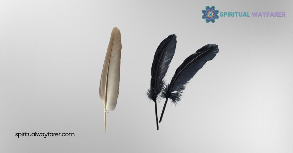 Discover the Biblical Meaning of Grey and Black Feathers: Spiritual Insights 4 Comparing Grey And Black Feathers