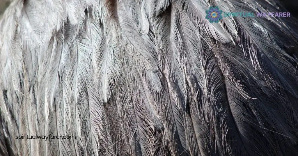 Grey and White Feather Spiritual Meaning: Unlocking Messages from the Universe 4 Comparing Grey and White Feather Meanings