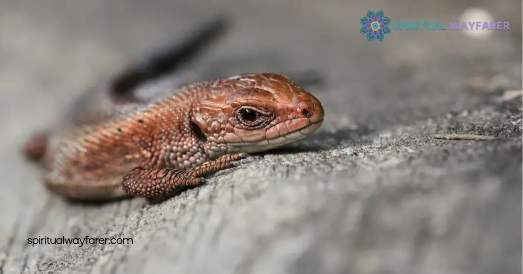 Brown Lizard Spiritual Meaning: Unlock Grounding, Resilience & Transformation 4 Connecting with Brown Lizard Energy