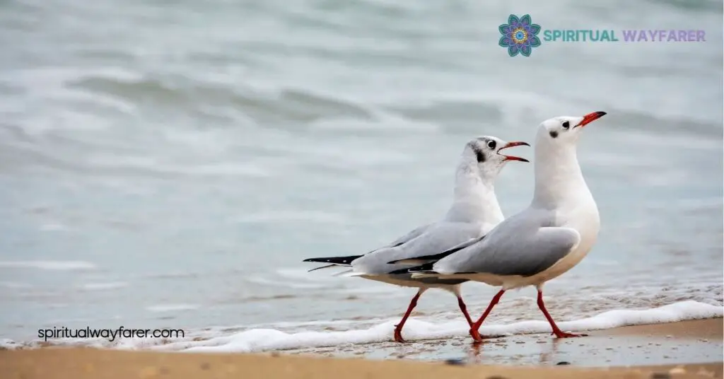 Unlocking the Hidden Meaning: Seagull Symbolism Explained 4 Contemporary Uses Of Seagull Symbolism
