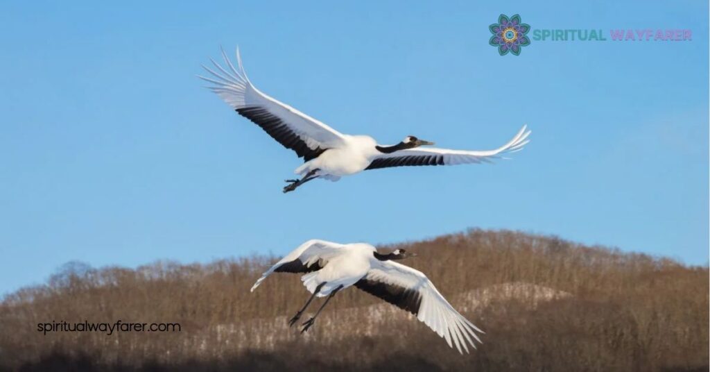 Crane Symbolism: Uncover the Ancient Meanings and Modern Significance 3 Crane Symbolism In Literature And Art