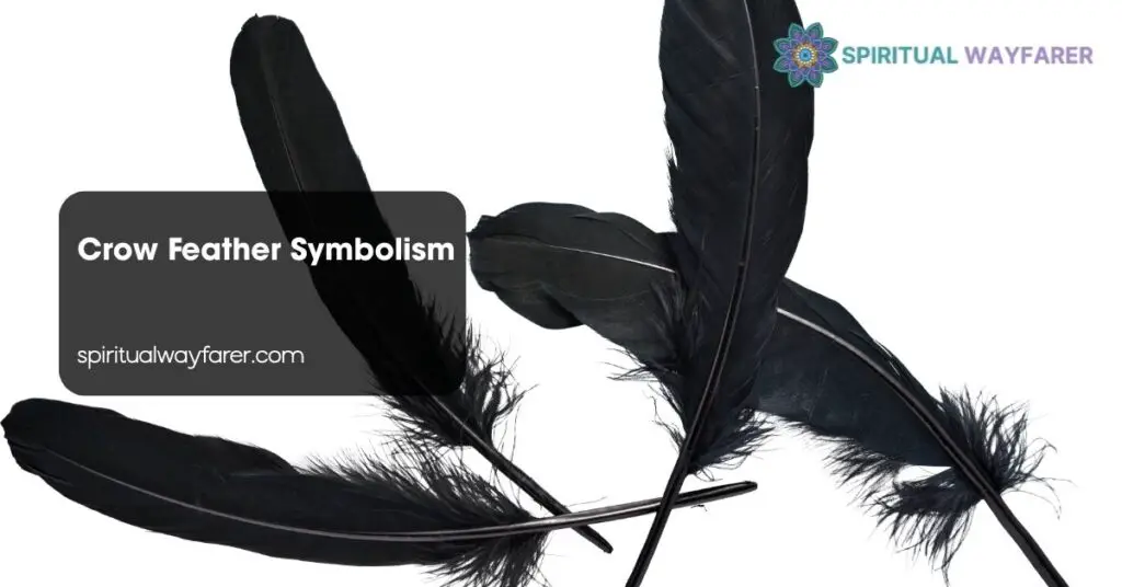 Crow Feather Symbolism