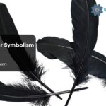 Crow Feather Symbolism