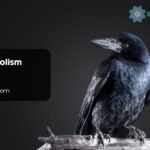 Crow Symbolism