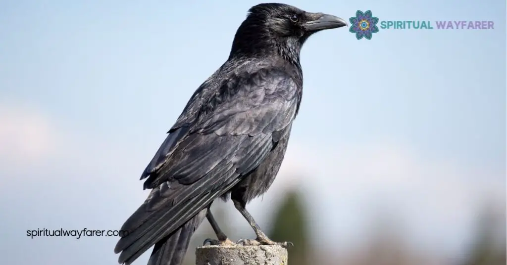 Understanding Crow Symbolism: Meanings, Myths, and Cultural Insights 2 Crow Symbolism in Literature
