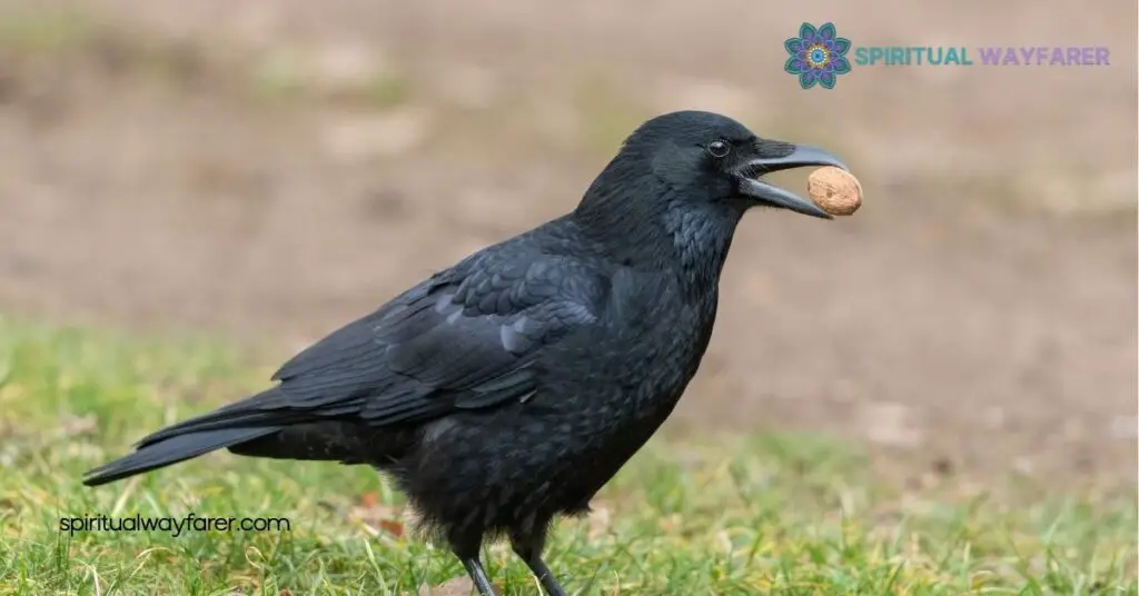 Understanding Crow Symbolism: Meanings, Myths, and Cultural Insights 3 Crow Symbolism in Mythology
