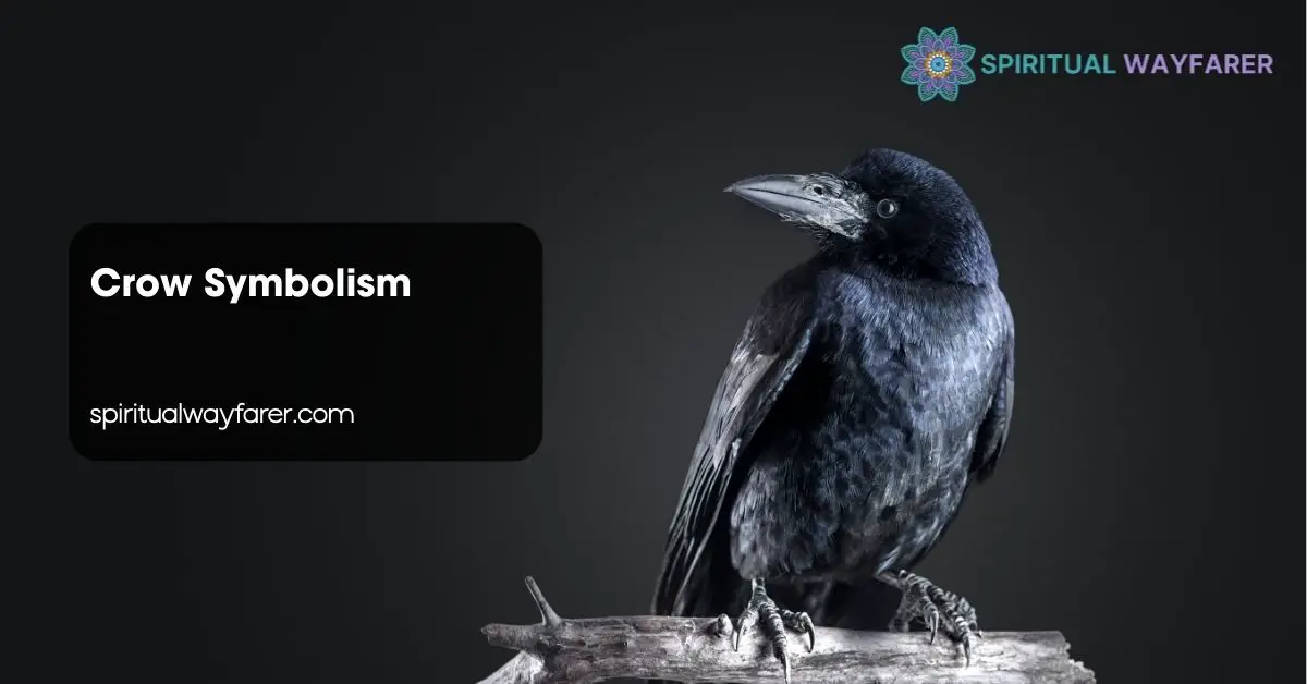 Crow Symbolism