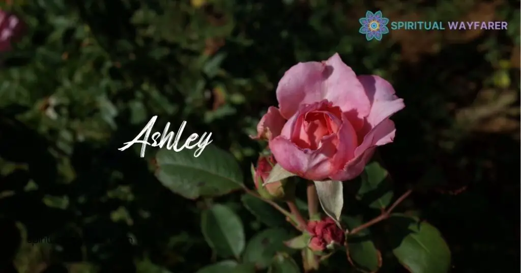 The Name Ashley Meaning Spiritually: Uncover Its Deep Symbolism and Significance 3 Cultural Interpretations