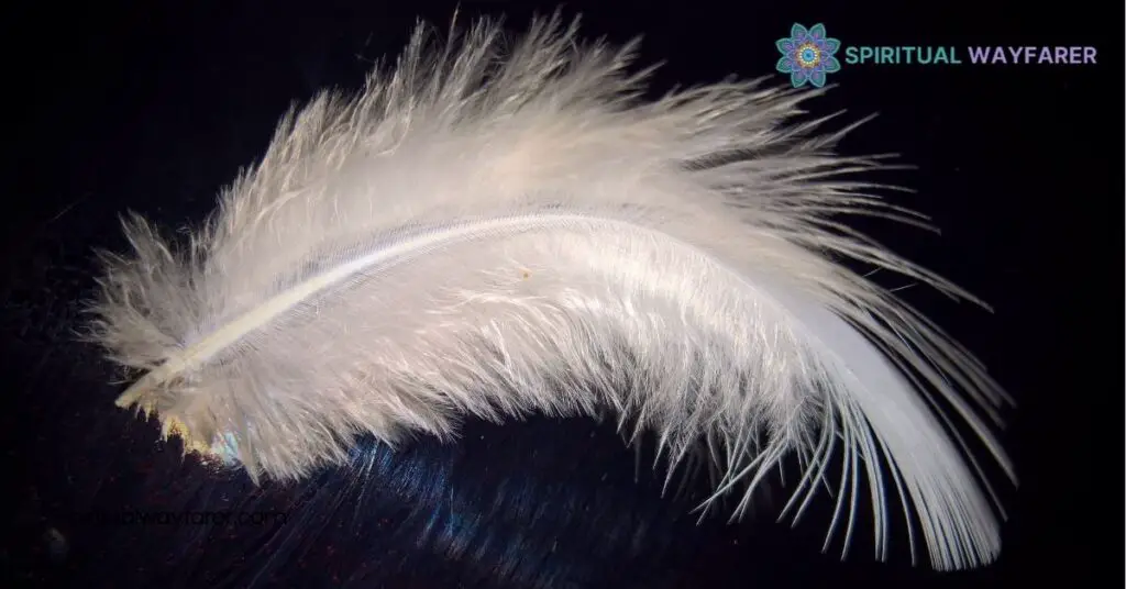 Dove Feather Meaning: Symbolism, History & Spiritual Significance 3 Cultural Interpretations