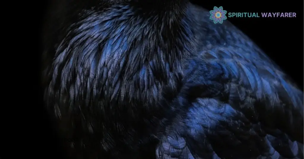 Cultural Interpretations Of Raven Symbols