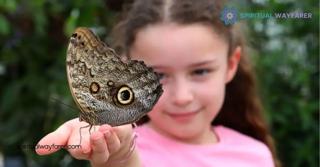 Discover the Butterfly Your House Spiritual Meaning: Transform Your Home’s Energy 3 Cultural Perspectives On Butterfly House Meanings