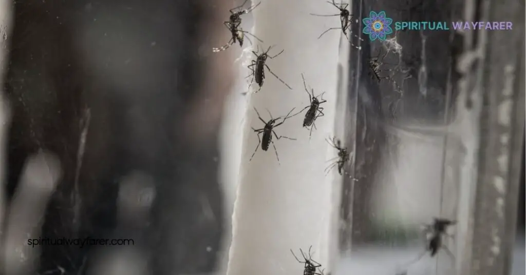 Spiritual Meaning of Mosquitoes: Discover Their Symbolism & Life Lessons 2 Cultural Perspectives on Mosquitoes