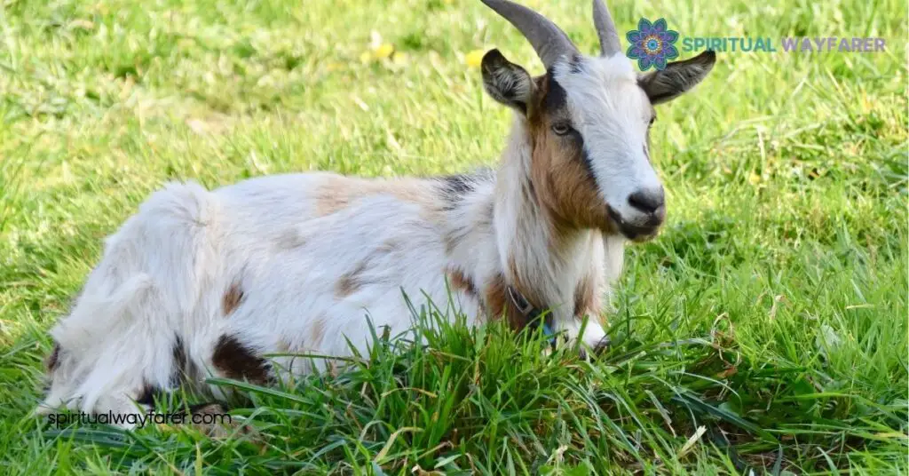 Goat Symbolism: Uncovering Its Cultural, Spiritual & Mythological Meanings 3 Cultural Representations