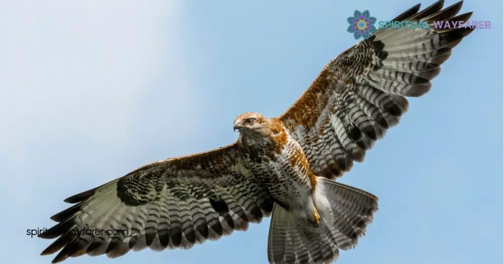 Falcon Symbolism: Exploring Power, Freedom & Cultural Significance 3 Cultural Representations of Falcons