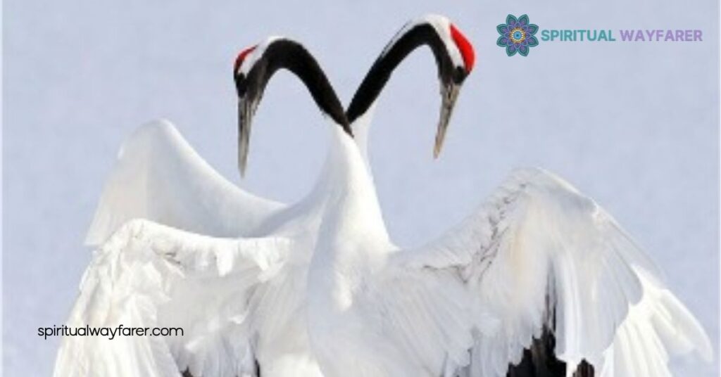Crane Symbolism: Uncover the Ancient Meanings and Modern Significance 2 Cultural Significance