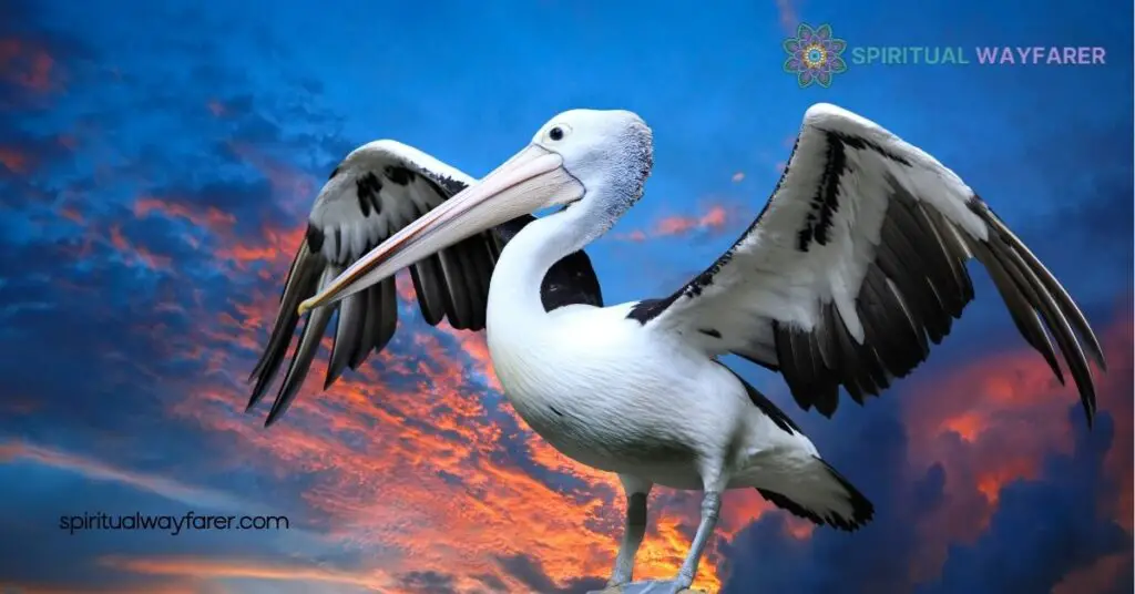 Pelican Symbolism: Exploring the Deep Meanings in Culture, Art & Religion 4 Cultural Significance