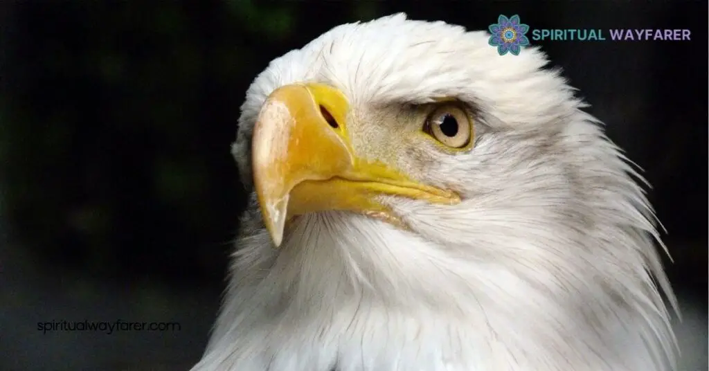 The Ultimate Guide to Eagle Symbolism: Meaning, History & Cultural Significance 2 Cultural Significance