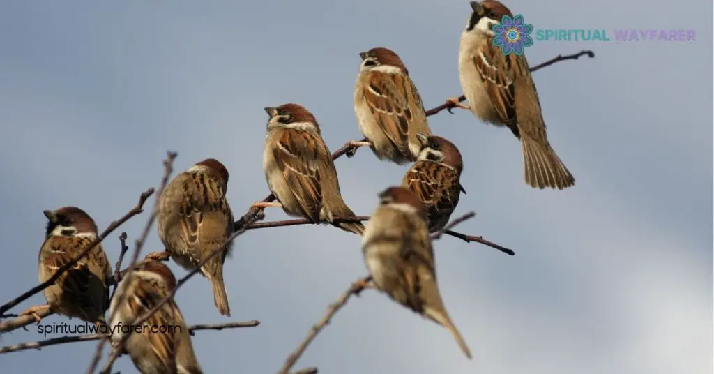 What Does It Mean When a Sparrow Visits You? Discover Their Hidden Symbolism 2 Cultural Significance Of Sparrows
