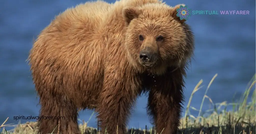 Unveiling Bear Symbolism: Strength, Healing & Cultural Insights 1 Cultural Significance of Bear Symbolism
