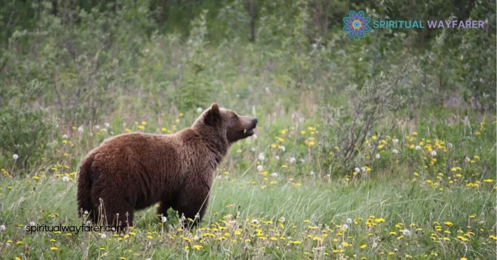 Grizzly Bear Dream Symbolism: Unveil the Hidden Messages in Your Dreams 4 Cultural and Spiritual Significance