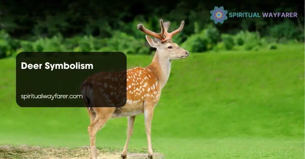 Deer Symbolism